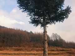 -九鼎铁刹山风景区