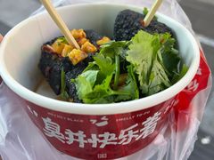 -黑色经典臭豆腐·湖南特产(坡子街店)