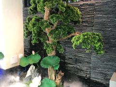 -大榕树下顺德菜(融创茂店)