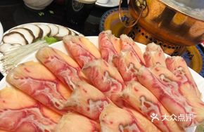South China Sea Catfish
