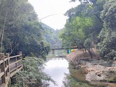 -祁门牯牛降观音堂风景区