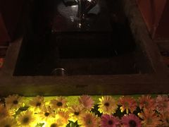 -花马天堂云南餐厅 Lost Heaven(外滩店)