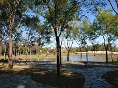 -东郊湿地公园