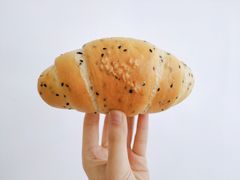 -T11生鲜超市(朝阳公园店)