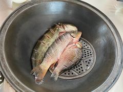 -粘豆包柴火铁锅炖