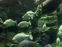 -成都浩海立方海洋公园