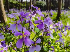 -停车场(临桂路)