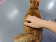 -蓝天射箭馆·专业射箭运动(诚丰广场店)