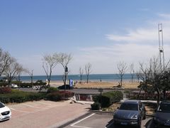 -浩运·海鲜青岛菜·海胆水饺(石老人店)