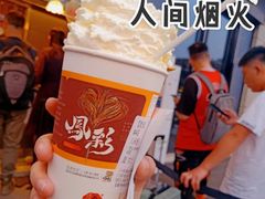 双倍奶油-茶颜悦色(银盆岭万达广场店)