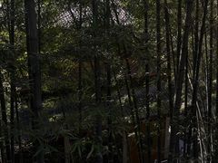 -灵隐飞来峰景区