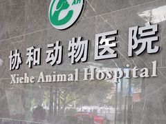 -瑞鹏瑞爱宠物医院·全科·猫科·血液透析中心(龙头寺店)