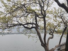 -桃源村(老门东店)