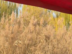 -南翠屏公园