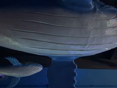 -常州海昌海洋探索馆