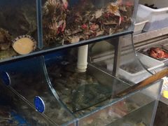 水产区-宾朋海鲜特色美食餐厅·纯手工鲅鱼水饺(兴海路店)