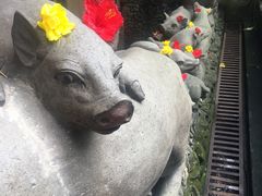 -Warung Babi Guling Ibu Oka 3