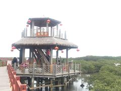 -北海金海湾红树林生态旅游区