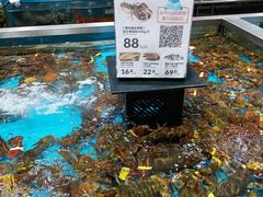 -盒马鲜生(领丰汇店)