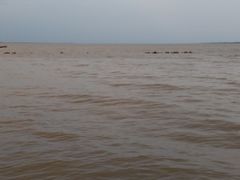 -农垦当壁镇兴凯湖旅游度假区