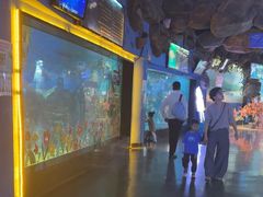 -烟台海昌鲸鲨海洋公园