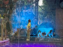 -清迈夜间动物园