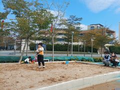 -飞凤山奥体公园
