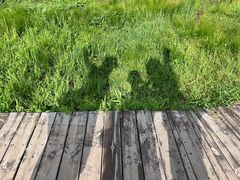 -新疆那拉提国家旅游度假区