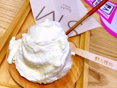 -野人先生现做冰淇淋(西安赛格店)