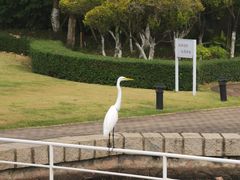 -厦门国家会计学院