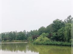 -白鹭湾湿地公园