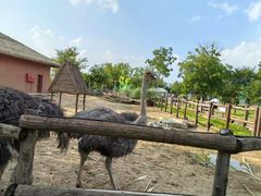 -祥源·阜阳生态乐园