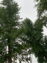 -HEYAN长风荷妍专业脱毛美肤
