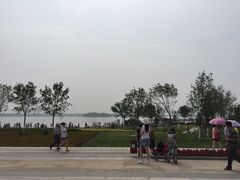 -武清南湖绿博园