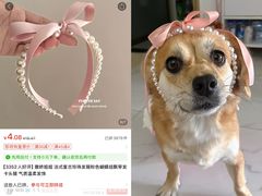 -艾贝尔宠物医院·宠保定点·超声绝育·免疫点(樱花路店)