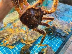 -宴小馆·小海鲜青岛菜(五四广场店)