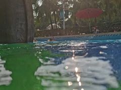 -重庆海昌加勒比海水世界