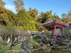 -清湖文化公园