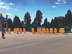 -龙口南山旅游景区