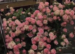 -美肤盾祛痘·问题肌头疗管理中心