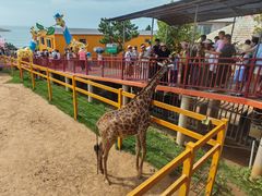 -西霞口神雕山野生动物世界