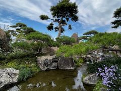 -罗红摄影艺术馆