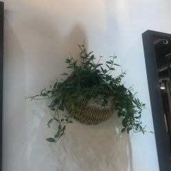 -曼都发型·臻选