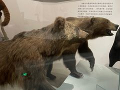 -武汉园博园(武汉自然博物馆)