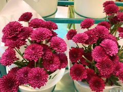 -BoBloom花店(晶耀前滩店)