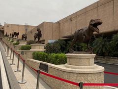 -自贡恐龙博物馆