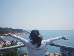 -广东惠东海龟国家级自然保护区