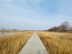 -野鸭湖国家湿地公园