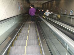 -大龙山(地铁站)