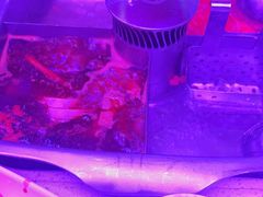 -海底捞火锅(杭州庆春路夜宵主题店)